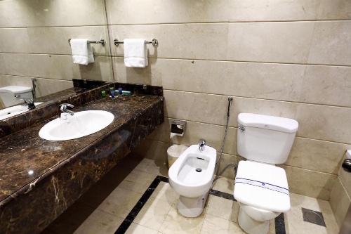 Hyatt Jeddah Continental Hotel image 11